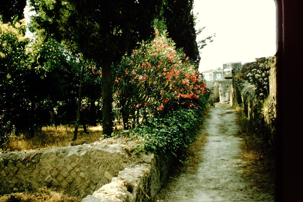 Vicolo Meridionale, Herculaneum, 1957.
Looking west towards Cardo V, with the garden of the House of Telephus Relief, on left. Photo by Stanley A. Jashemski.
Source: The Wilhelmina and Stanley A. Jashemski archive in the University of Maryland Library, Special Collections (See collection page) and made available under the Creative Commons Attribution-Non Commercial License v.4. See Licence and use details.
J57f0454